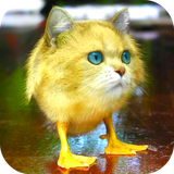 en.scalesdev.morphing