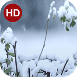 ir.hmh.PeaceLiveWallpaper_58_free