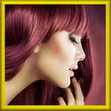 sekandari.app.safkardan.moha