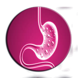 ir.arzanikamran.mede