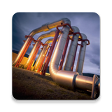 in.softecks.pipingengineeringqa