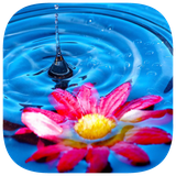 com.nebo.crosswords14