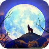 com.moonwallpaper.moonpictures.fullmoon