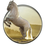 live.wallpaper.horse.animal.pony.running