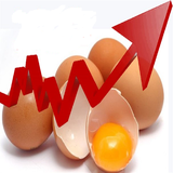 com.puzzley.yomorta11033662