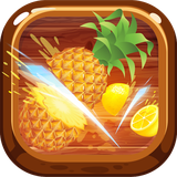 com.ninja.fruitminisplash