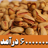 peste.daramad.software