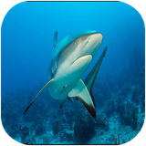 khone.filmhaymostanad