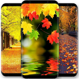 com.khamarnache.autumnwallpaper.offline