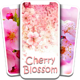 com.soko.cherry.blossom.wallpaper.HD