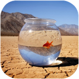 didar.danestanihayeghlim