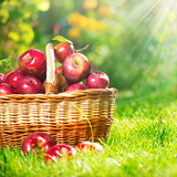 com.AppleLiveWallpaper