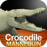 com.apps3DMannequins.CrocodileMannequin