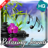 com.RelaxingMusicSounds