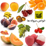 com.faghragha.soft.khavasmiveh