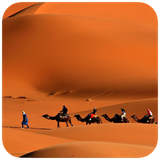 com.hd.desertwallpaper.desert.camel.sky.images.wallpapers