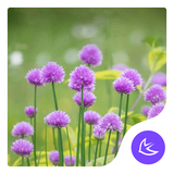 com.apusapps.theme.i_flower_field_f85a7b99cc
