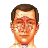 ir.s.r.d.bim.halgh.bini