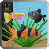 com.jkstudiogames.aquariumfish