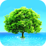 com.Awesome.wallpaper.awesomepicture.awesomeimage.background.wallpaper