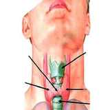 com.faghragha.soft.ghodd