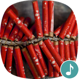 io.appp.sounds.firecracker