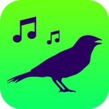 com.cantosdepassaros