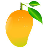 com.hellosofts.mango