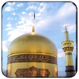 com.we8ff0417a3db1faf1c0d29abc41ae020