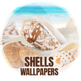 com.easy_wallpapers.shell