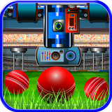com.twodfunclub.cricket.ball.factory