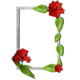 com.palmeralabs.photo_frames.flower_photo_frames