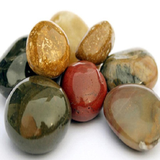 khavas.mazhabi.sangha