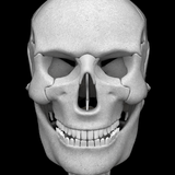 com.androiddevelopermx.blogspot.bones3d