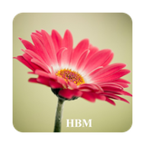 ir.appwork.livewallFlowerrs