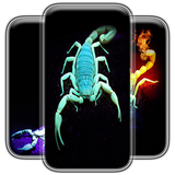 com.districtr.ScorpionWallpapers