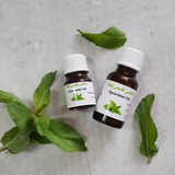 com.htmlApi24novinsoft99.toledeesansehaegeyahe