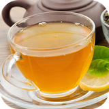 ir.decoders.damnoosh