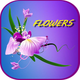 com.douaastyle.flowersimages1