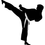 com.jimmidvelo.kyokushin_kata