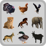 com.q2developer.animalsounds