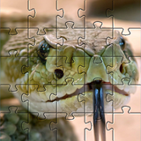 com.jigsaw.puzzle.games.SnakeJigsawPuzzles