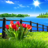 com.livewallpapers3d.springflowerslwp