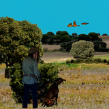 com.edujuancar.elcazador2016