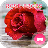 jp.co.a_tm.android.plus_baratosizuku