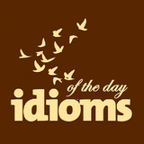 com.daily.idioms