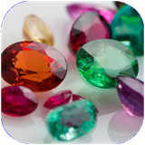 barnehsan.anvaesangha