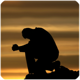 com.m.d.android.gonah