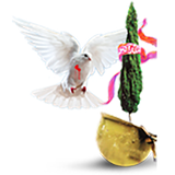 com.zarei_62.shohada