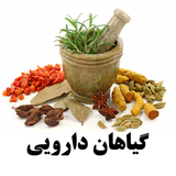 ir.mobinnajafi.giyahedaruyi